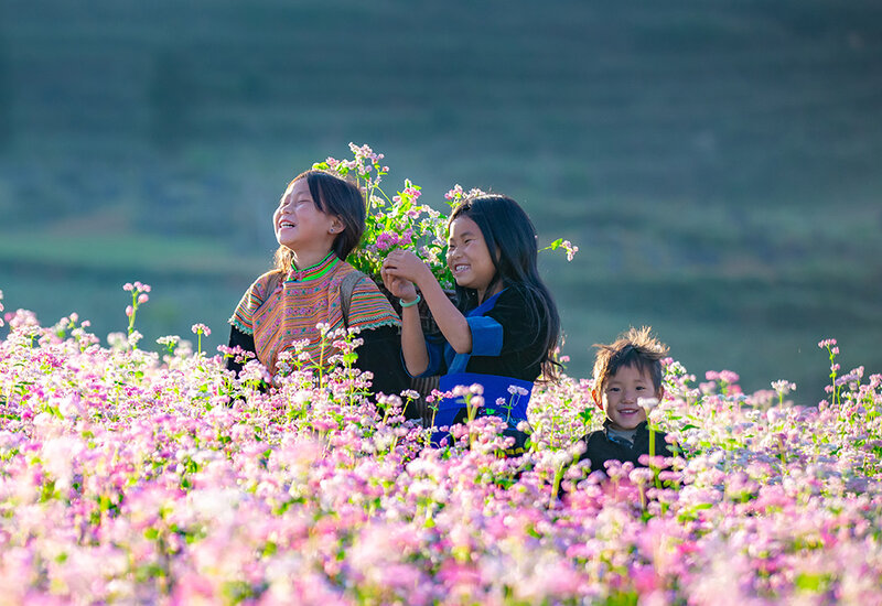 HÀ GIANG – YÊN MINH – LŨNG CÚ – PHỔ CỔ ĐỒNG VĂN