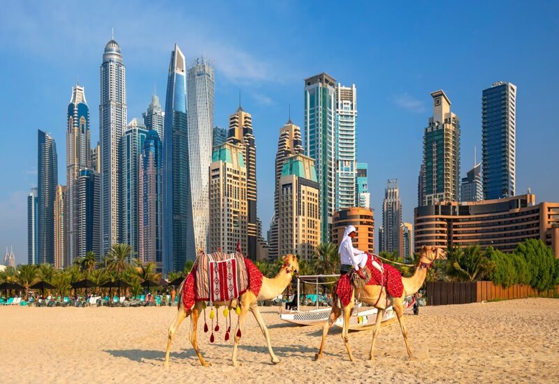 DUBAI – MIRACLE GARDEN- ABU DHABI